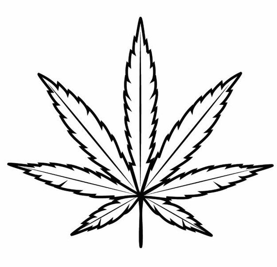 Pot Leaf Sketch at PaintingValley.com | Explore collection of Pot Leaf ...