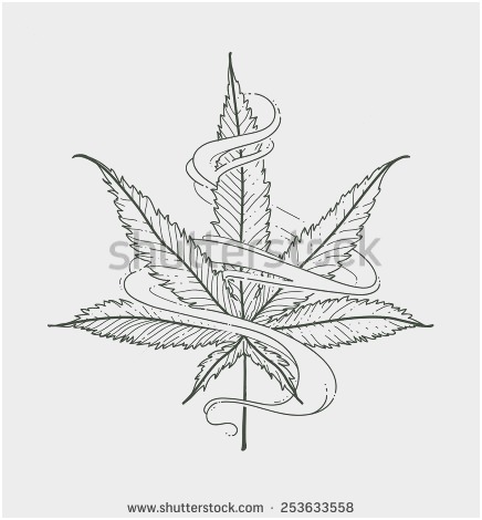 436x470 53 Best Gallery Of Pot Leaf Coloring Pages Coloring Pages - Pot Leaf Sketch