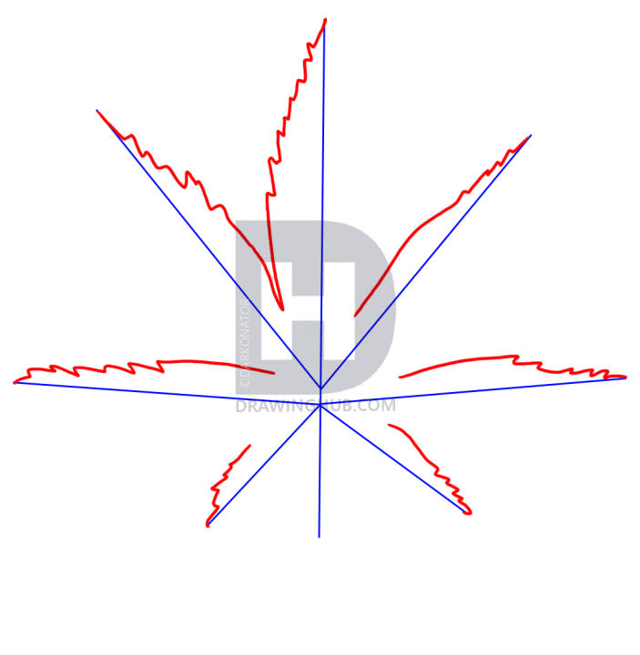 703x720 How To Draw A Pot Leaf, Step By Step, Drawing Guide, By Darkonator - Pot Leaf Sketch
