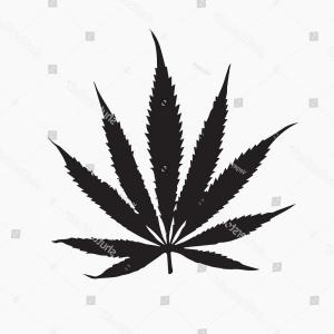 300x300 Stock Illustration Cannabis Leaves Sketch Hand Drawn Shopatcloth - Pot Leaf Sketch