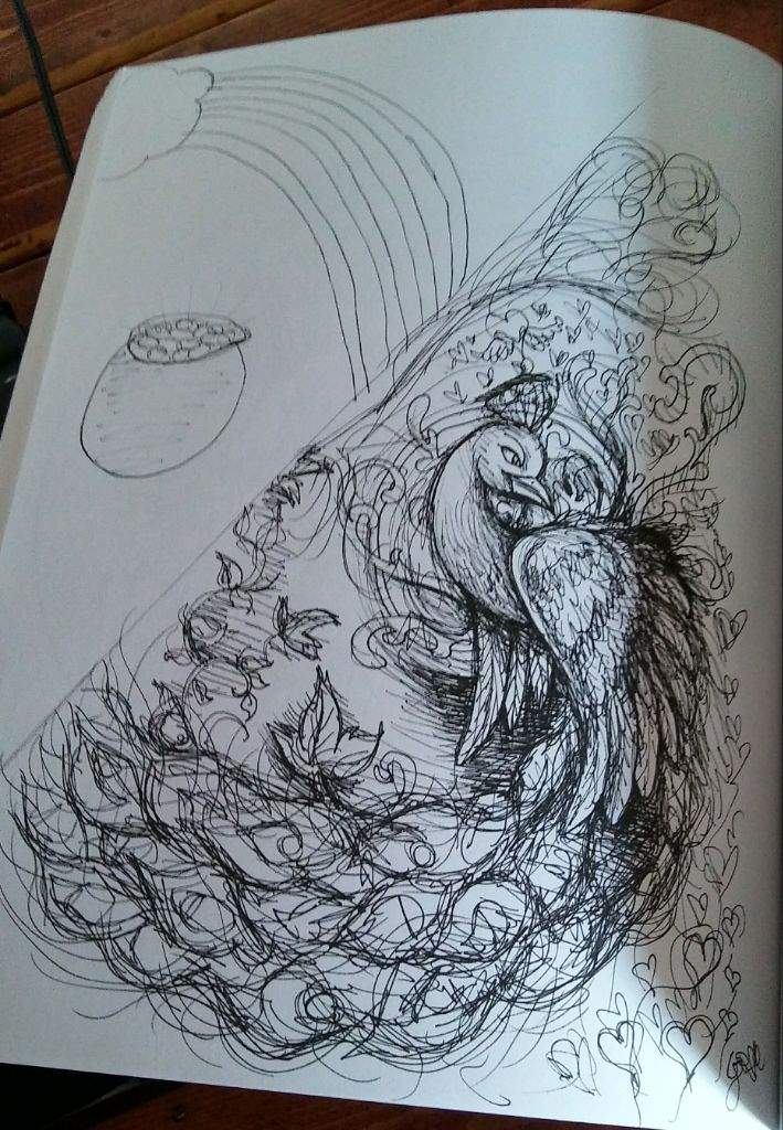 709x1024 Peacock Sketch Animal Amino - Pot Of Gold Sketch