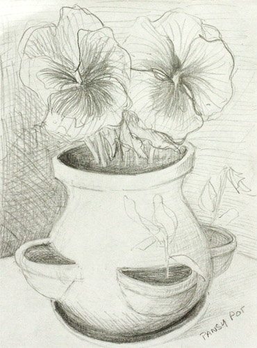 370x500 Wde 080808 Pansy Pot Sketch - Pot Sketch