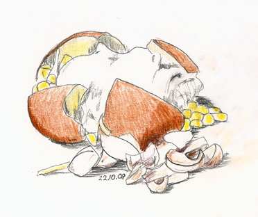 372x312 Edm194 - Potato Sketch