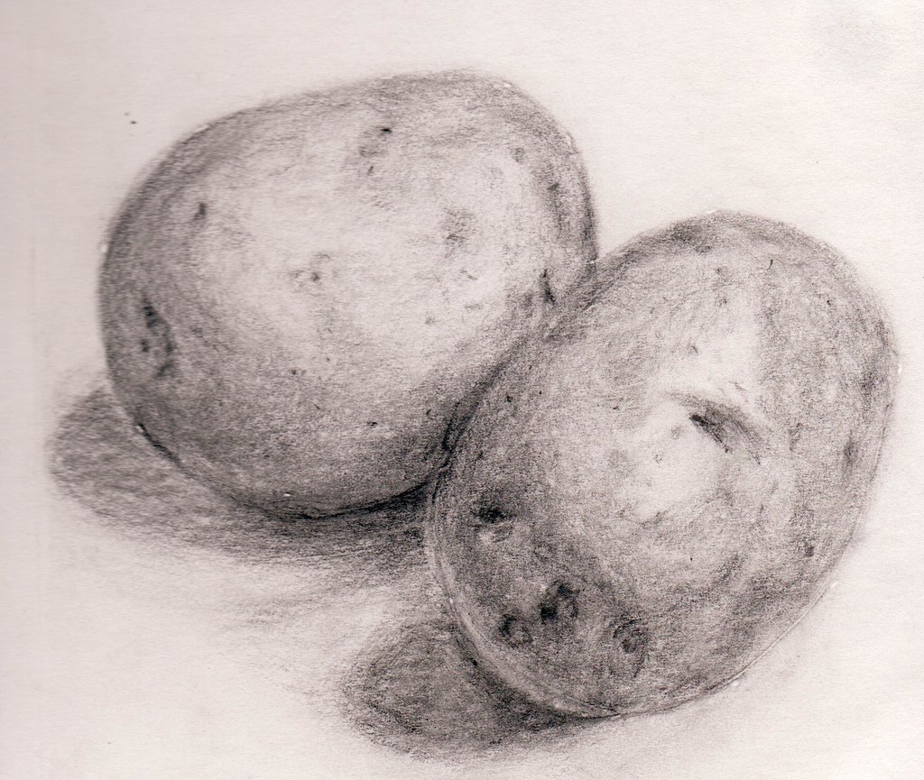 1024x865 Potato Drawing Sketch Images Free Download - Potato Sketch
