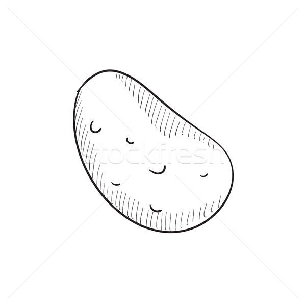 600x600 Potato Sketch Icon. Vector Illustration Andrei Krauchuk - Potato Sketch