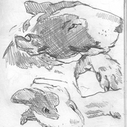 250x250 Arundel Pottery Sketches From Life - Pottery Sketches