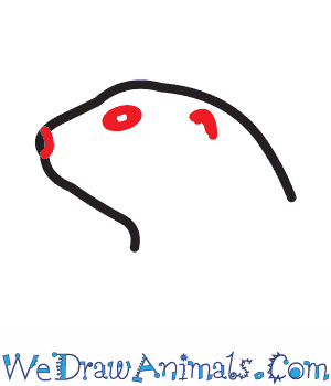 300x350 How To Draw A Black Tailed Prairie Dog - Prairie Dog Sketch