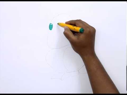 480x360 How To Draw A Prairie Dog - Prairie Dog Sketch