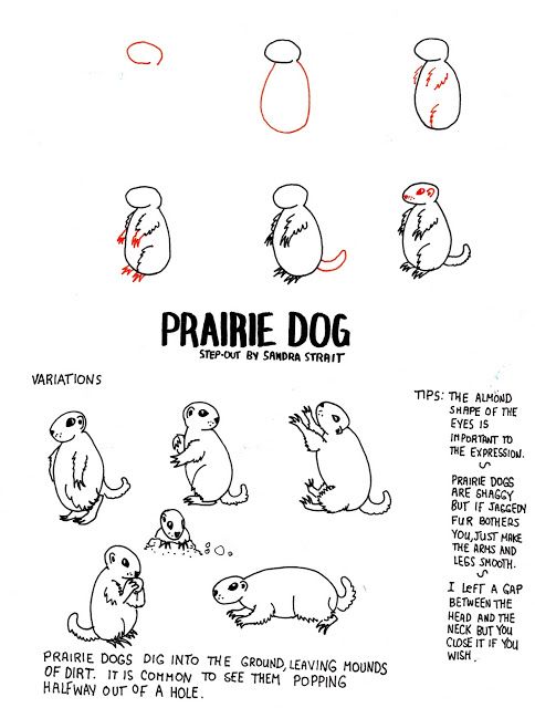 484x640 Life Imitates Doodles Prairie Dog Fantasy Landscape Step Out - Prairie Dog Sketch