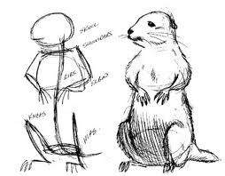 254x198 Prairie Dog Sketch - Prairie Dog Sketch