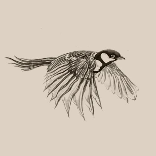 500x500 Finished Off This Bird This Morning, Now To Do Some More Pre - Pre Sketch