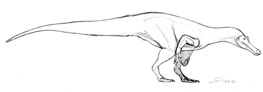 1024x361 Baryonyx 2015 Premilinary Sketch By Shinreddear - Pre Sketch
