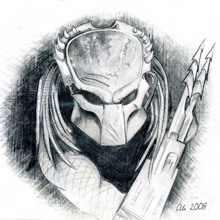 720x720 My Predator Pencil Sketch Predator Predator - Predator Sketch