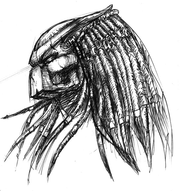 600x638 Predator Sketch By Buttzilla - Predator Sketch
