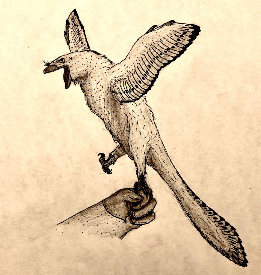 871x917 Drawingdinosaurs] Prehistoric Hawk By Zerindo - Prehistoric Sketch