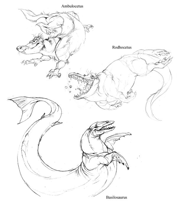 600x694 Prehistoric Whale Sketches By Chalicothere - Prehistoric Sketch