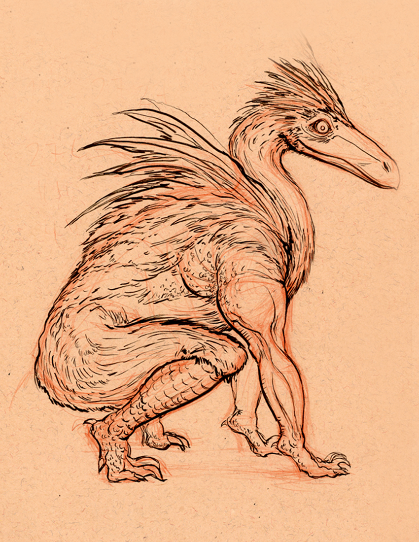 850x1100 Sketch Junkie Prehistoric Bird - Prehistoric Sketch
