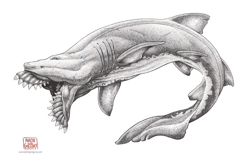 800x517 The Delicate Art Of Illustrating Ancient Sharks - Prehistoric Sketch