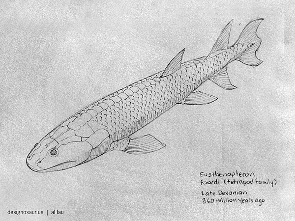 600x450 Drawing Prehistoric Fish Blog.designosaur.us - Prehistoric Sketch