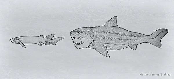 600x273 Sketch Prehistoric Shark Blog.designosaur.us - Prehistoric Sketch