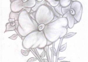 300x210 Beautiful Flower Sketches In Pencil Easy Pencil Drawing - Pretty Flower Sketches
