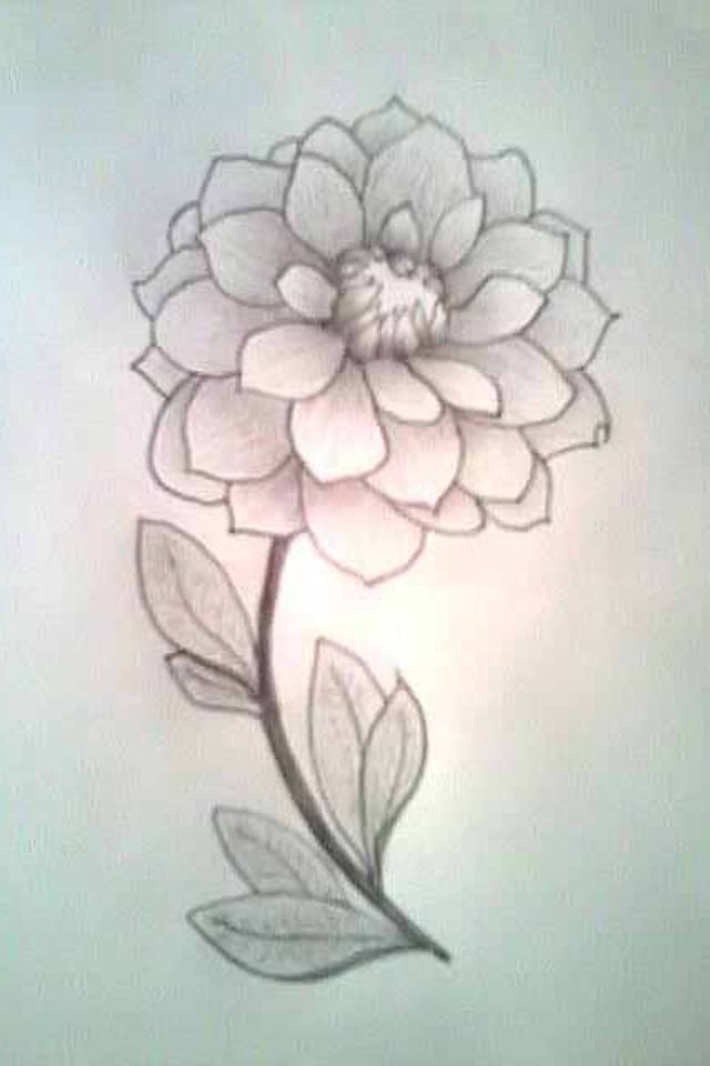 640x960 Cute But Simple Flower Drawing (Just 34 Drawn On Canvas, Up Close - Pretty Flower Sketches