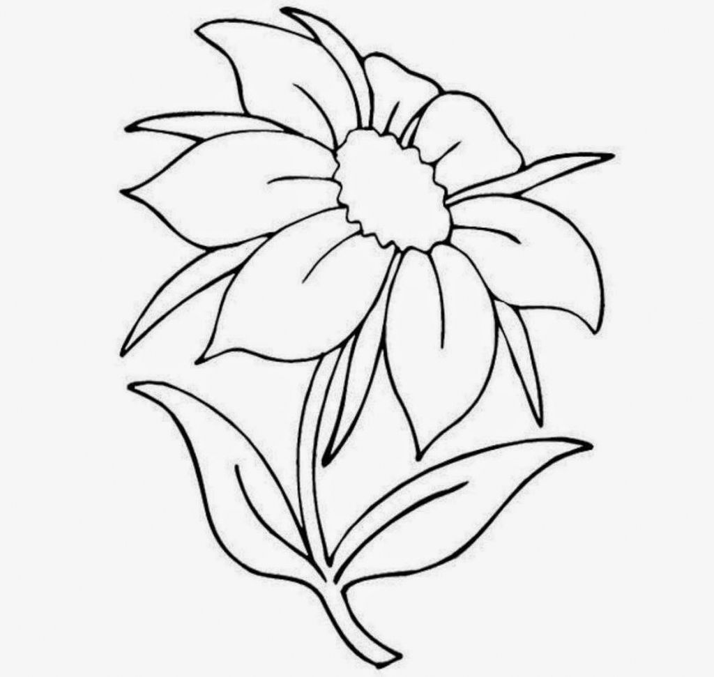 1024x971 Beautiful Flower Drawing Images Beautiful Flower Drawing Simple - Pretty Flower Sketches