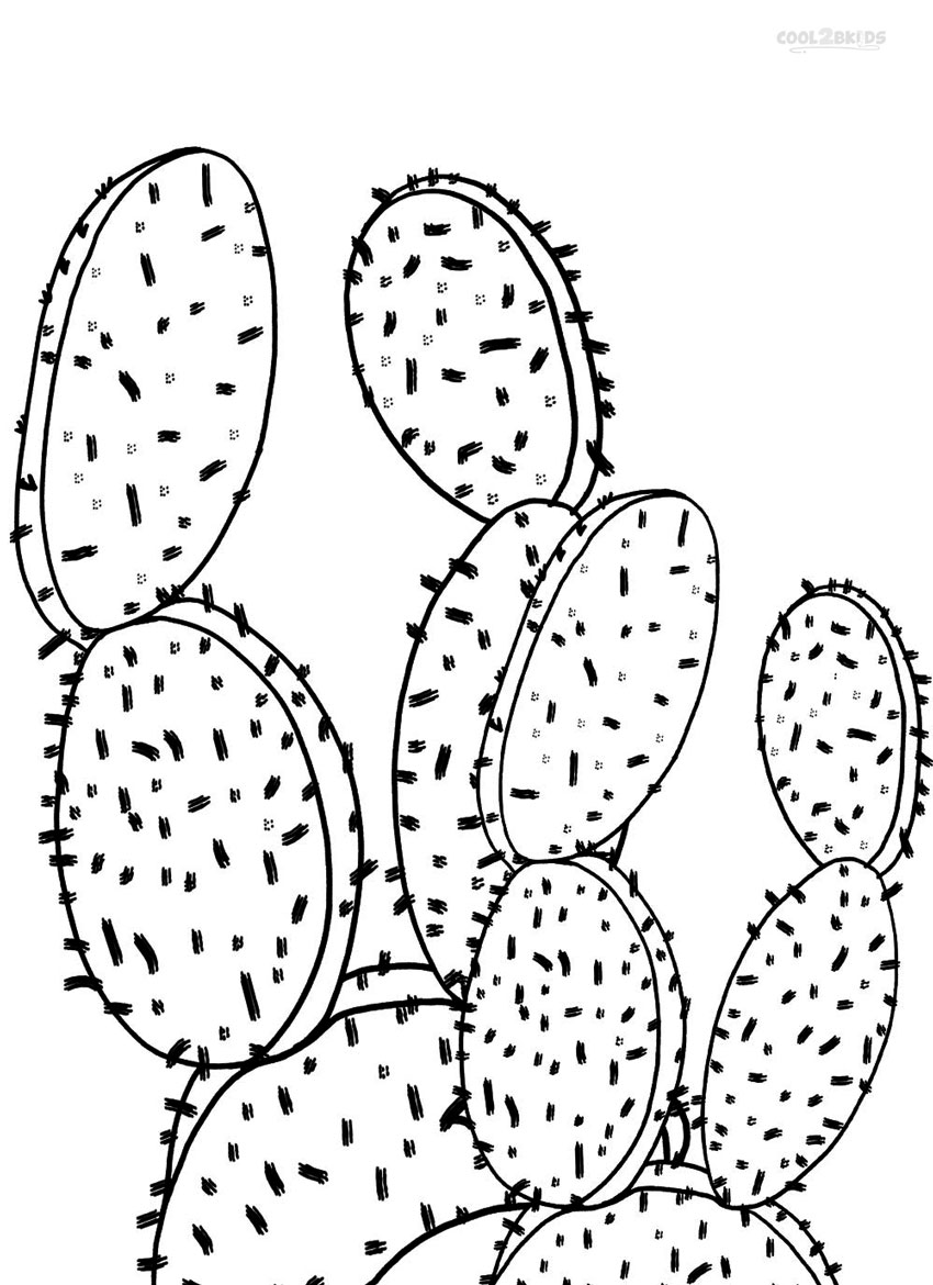 850x1170 Drawn Desert Prickly Pear Cactus - Prickly Pear Sketch