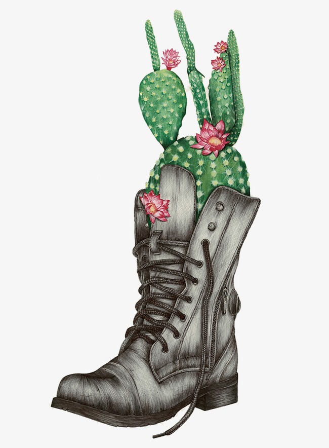 650x884 Prickly Pear, Pear Clipart, Hand Painted, Sketch Shoes Png Image - Prickly Pear Sketch