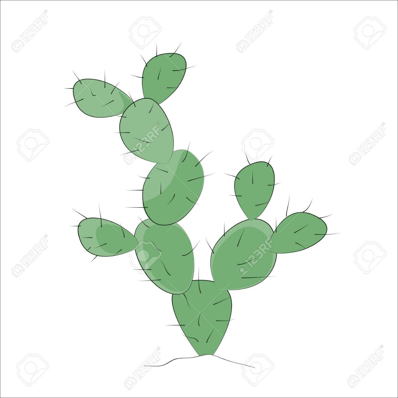 Prickly Pear Sketch at Explore collection of