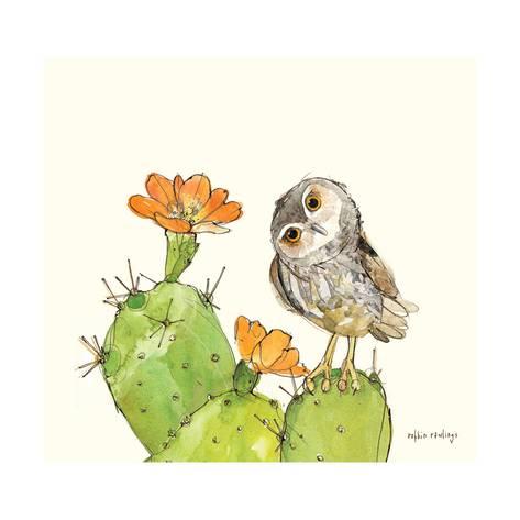 473x473 Prickly Pear And Elf Owl Posters By Robbin Rawlings - Prickly Pear Sketch