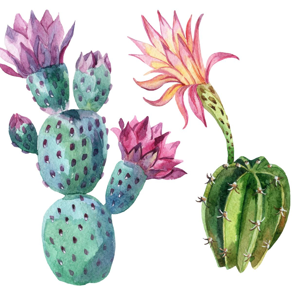 1200x1200 Drawn Cactus Nopal Cactus - Prickly Pear Sketch