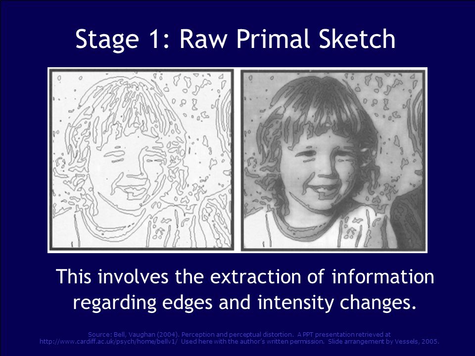 960x720 Top Down Versus Bottom Up Perception - Primal Sketch