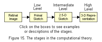 352x145 Vision 4b - Primal Sketch