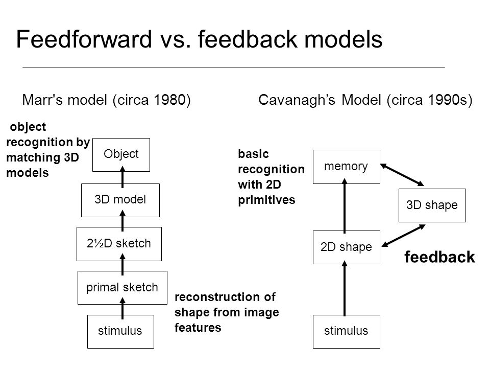 960x720 What Should Be Done - Primal Sketch