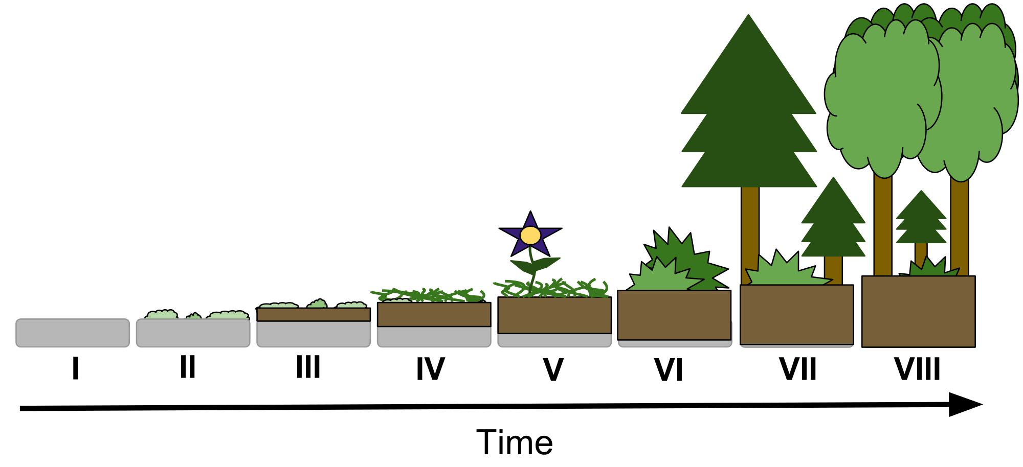 2000x914 Fileap Biology - Primary Sketch