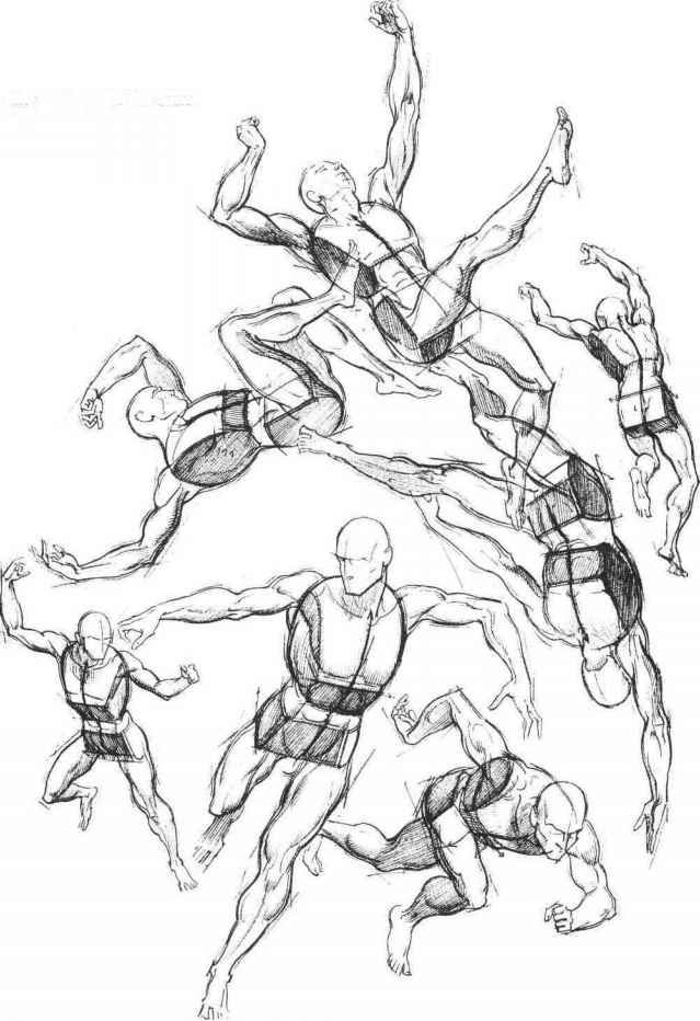 639x932 The Torso Is Primary - Primary Sketch