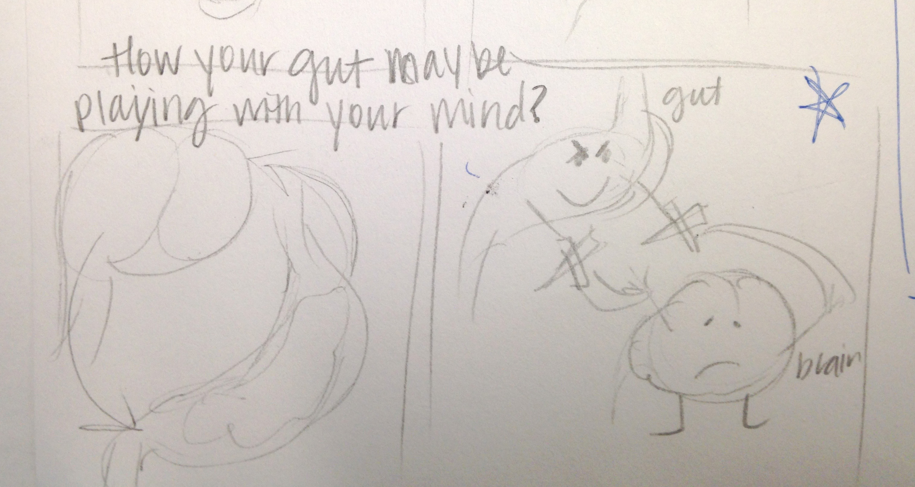 3031x1614 Editorial Primary Sketch - Primary Sketch