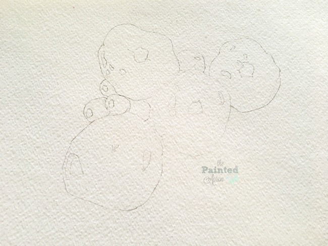 650x488 Primary Sketch The Painted Apron - Primary Sketch