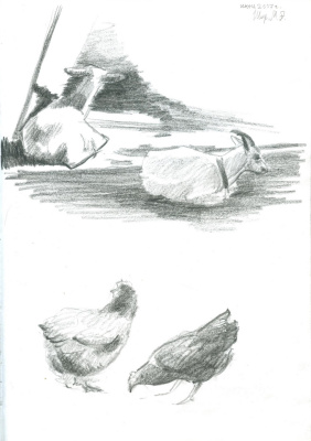 282x400 Primitive (Sketch Of Model) By Maria Alekseevna Shiryaeva History - Primitive Sketch