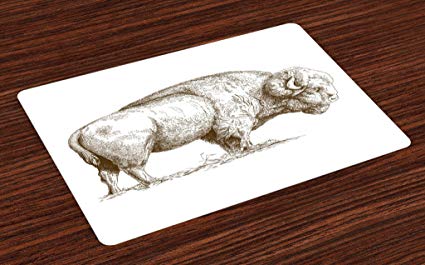 425x265 Lunarable Bison Place Mats Set Of 4, Prehistoric - Primitive Sketch