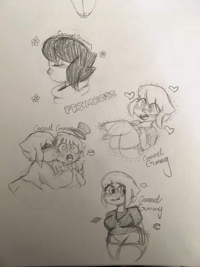 768x1024 Primrose Sketches Gtgt Amino - Primrose Sketch