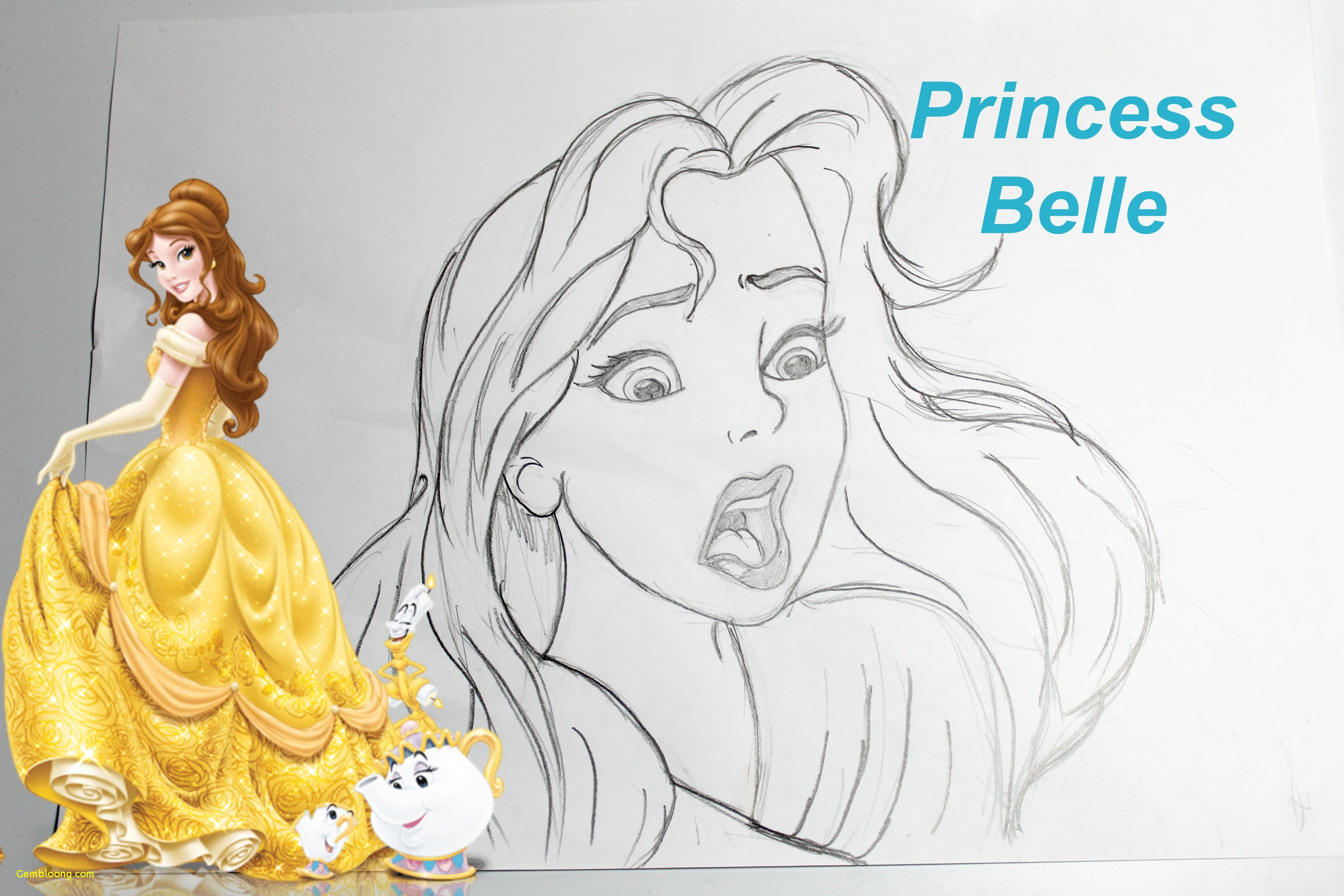 Princess Belle Sketch At Paintingvalley Com Explore Collection