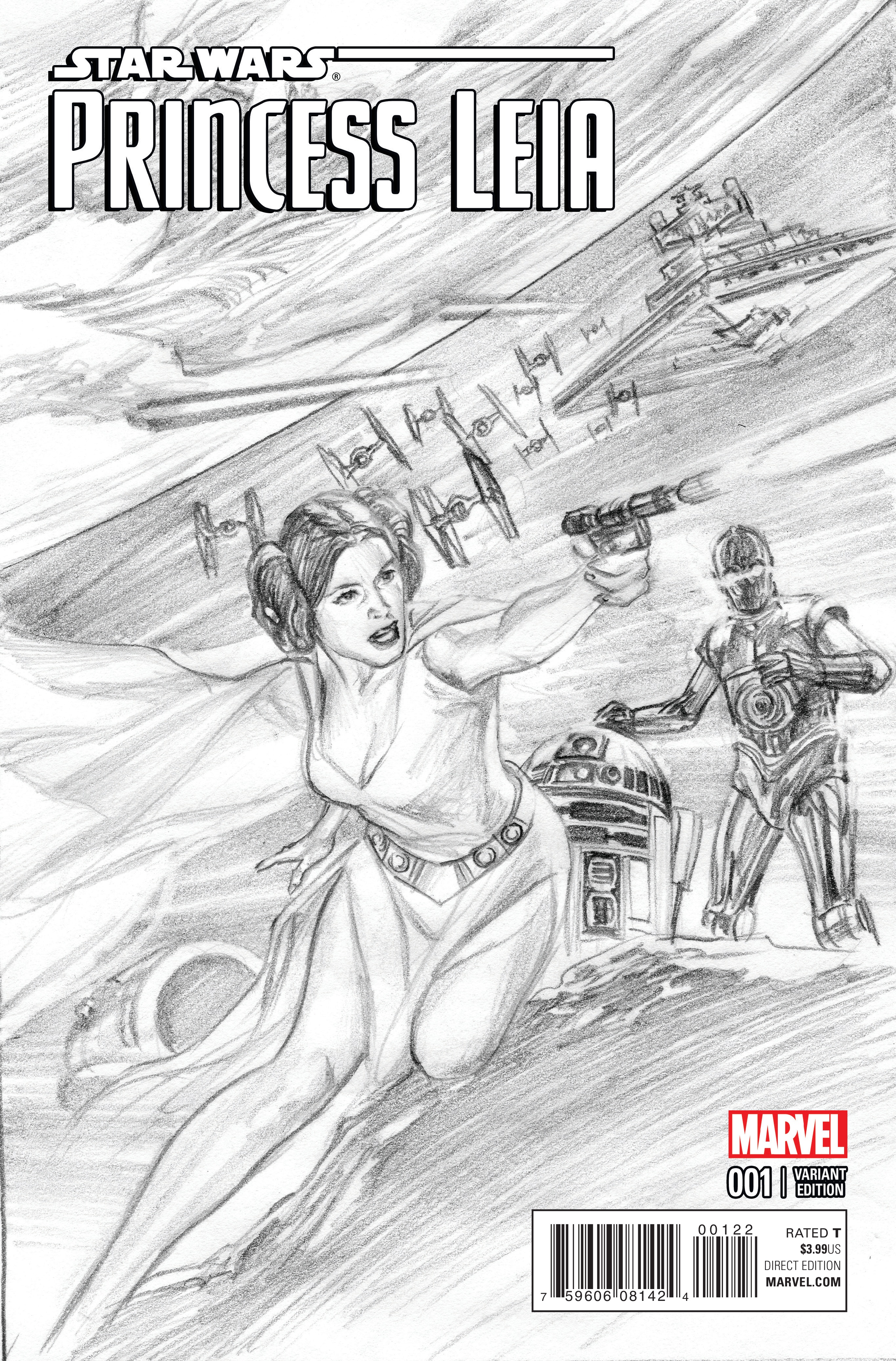 2729x4143 Image - Princess Leia Sketch