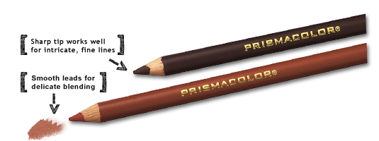 535x200 Prismacolor Drawing - Prismacolor Sketch