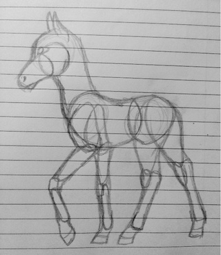 320x370 Here, Take A Proportion Sketch. I Still Need Some Species Ideas - Proportion Sketch