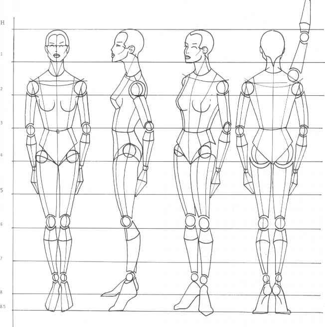 652x655 How To Draw A Human Body In Proportion Description From Odeany.us - Proportion Sketch
