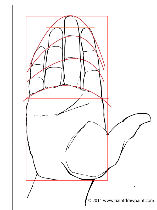 600x800 Paint Draw Paint, Learn To Draw Drawing Basics Drawing The Hand - Proportion Sketch
