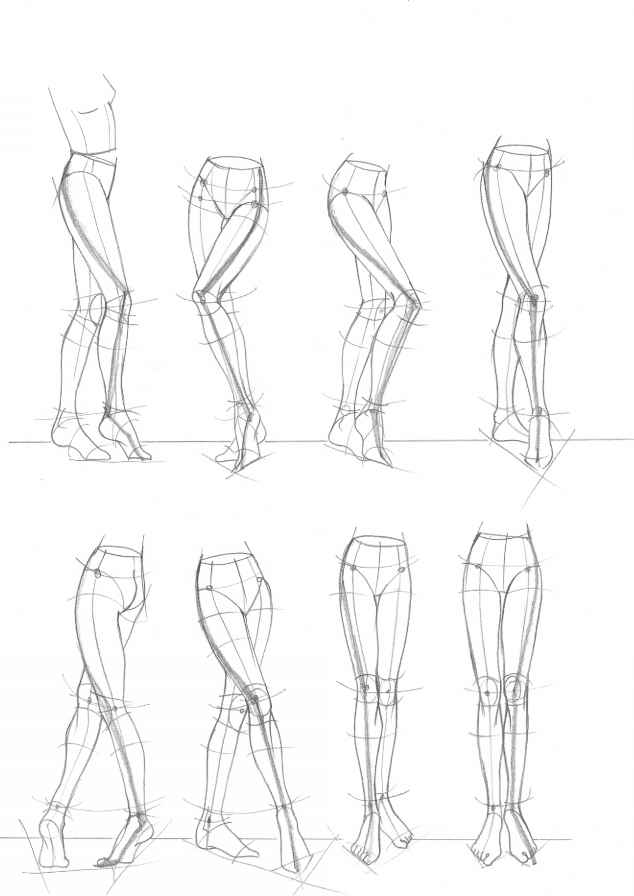 634x896 The Mouth Analysis And Structure - Proportion Sketch