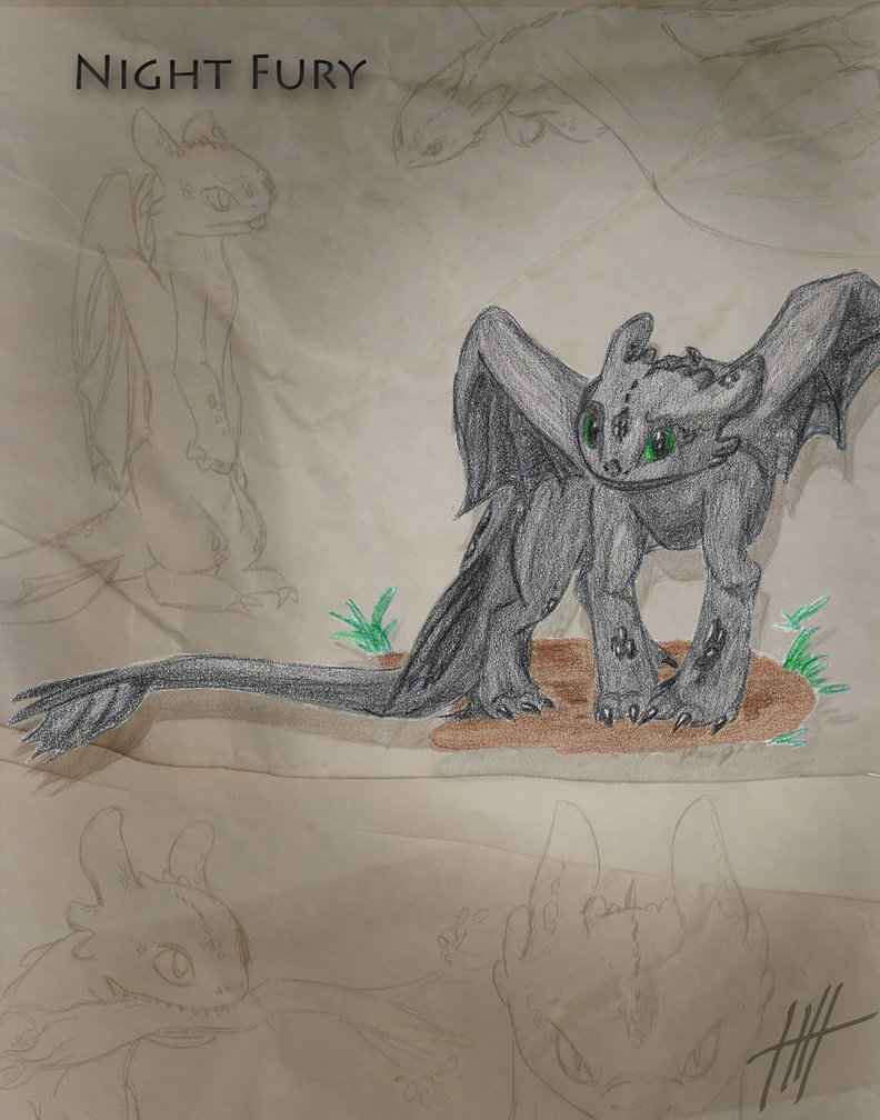 792x1008 Night Fury Sketches By Psychic Pineapple - Psychic Sketches